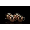 4 Piece Copper Mini Moscow Mule Mug Shot Glasses