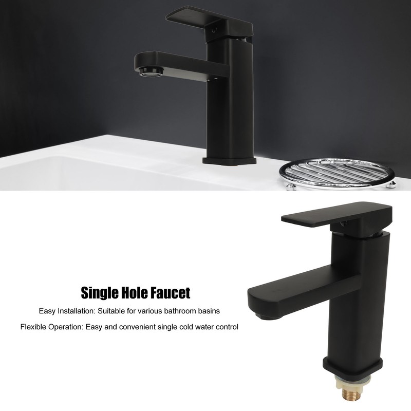 Sink Faucet Black Single Handle Single Hole Cold Stainless Steel