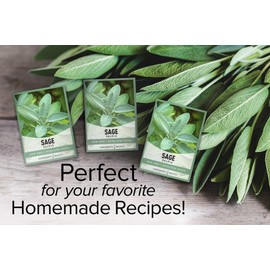 Sage Seeds for Planting Heirloom, Non-GMO Herb Variety- Great for Indoor and Outdoor Gardening by Gardeners Basics