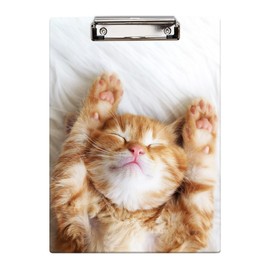 Britimes Clipboard Decorative Office School Hardboard Wood Nursing Clip Board and Pull for Standard A4 Letter Size Cute Red Fur Cat 12.6" X 8.9"