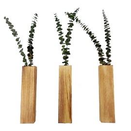 Suerhatcon Pack of 3 Wall Vase Wooden Wall Planter for Indoor Wall Hanging Flower Vase Container for Dried Flowers