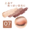 Cezanne Tone Up Eyeshadow 07 Red Brown 2.6g