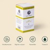 Napiers Phytologic Happy Gut | Gut Health Support | 60