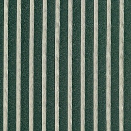 B610 Green Striped Jacquard Woven Upholstery Fabric by The Yard