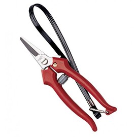 AUSONIA - 31320 Harvesting Shears Flower Scissors Reading Scissors Garden Shears for Flowers CM 15