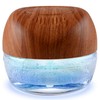 ap airpleasure Water-Based Purifier Air Washer, Air Revitalizer & Freshener,