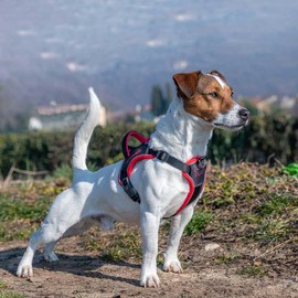 Ferplast Genius Dog Harness for Small Dogs, Reflective, Breathable, Adjustable, Quick Release, Dog Harness with Handle, Black