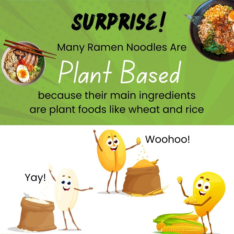 HCG Asian Noodles Variety Pack of 12 Instant Ramen Noodles