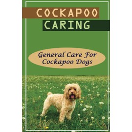 Cockapoo Caring: General Care For Cockapoo Dogs