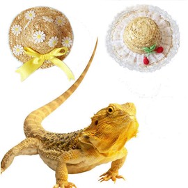 2 Pack Bearded Dragon Hats with Ribbon Lace Decor Handmade Rattan Headwear Reptile Apparel Accessories for Small Animals