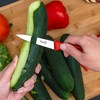 Slitzer Germany Paring Knife, German Stainless Steel Blade, 8 Inches,