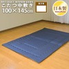 Sleeping Princess Kotatsu Shiki, Denim-Style, Oblong, 39.4 x 59.1 inches
