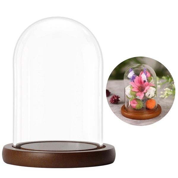 BELLE VOUS Glass Dome Cloche Bell Jar with Brown Wooden