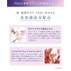 YOLU Yol | Night Beauty Hair Oil [Deep Night Repair]