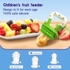 HAOBAOBEI Baby Fruit Feeder with Freezer Tray – 3-Size Silicone