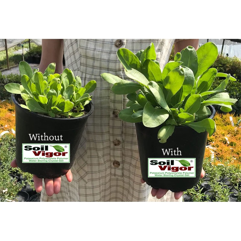 Soil Vigor Potassium Polyacrylate Super Absorbent Polymer 1 Pound