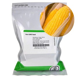 Early Sunglow Hybrid Corn Garden Seeds (Treated) - 5 Lb ~10,400 Seeds - Non-GMO, SU, Cold Weather Vegetable Gardening Seeds