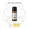 Lily & Loaf Clove Bud Organic Essential Oil (Eugenia caryophyllata)