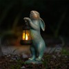 AIXXCUVQ Outdoor Rabbit Garden Ornaments with Solar Lantern Decoration for