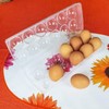 Egg Box Plastic Transparent 27 x 9 cm