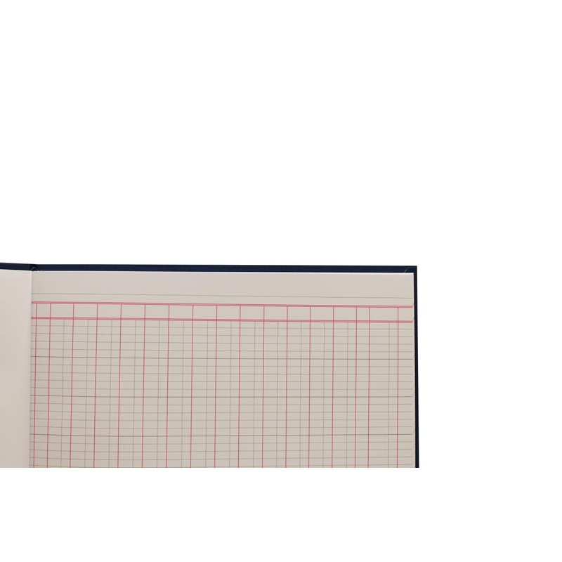 Exacompta - Ref 51/7-14Z - Guildhall - Account Book, 298
