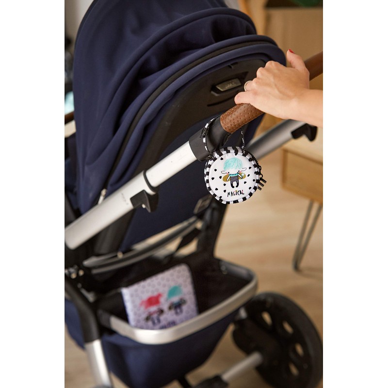 Miniland Pacipocket Magical Dummy Holder Handle with Button Closure, Multi-Colour