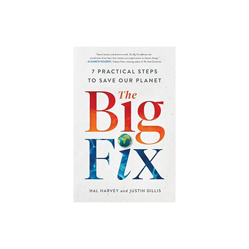 The Big Fix: Seven Practical Steps to Save Our Planet