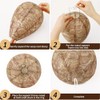 DECYOOL 4 Pack Wasp Nest Decoy Natural Paper Hornet Deterrent