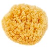 Croll and Denecke P180 Natural Sponge from the Mittelmeer, Premium Quality,