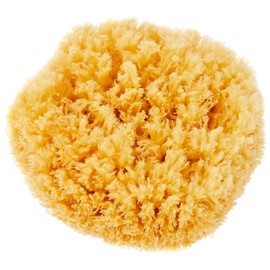 Croll and Denecke P180 Natural Sponge from the Mittelmeer, Premium Quality, Size 18 cm