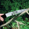 Niigata Seiki Kensho Folding Branch Cutting Saw, Made in Japan,