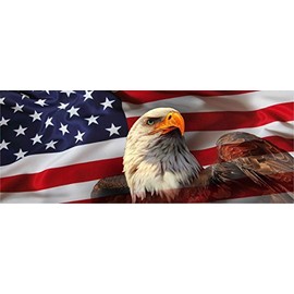 American USA Flag Eagle Pick-UP Truck Back Window Graphic Decal Perforated Vinyl (Small 55" x 15")