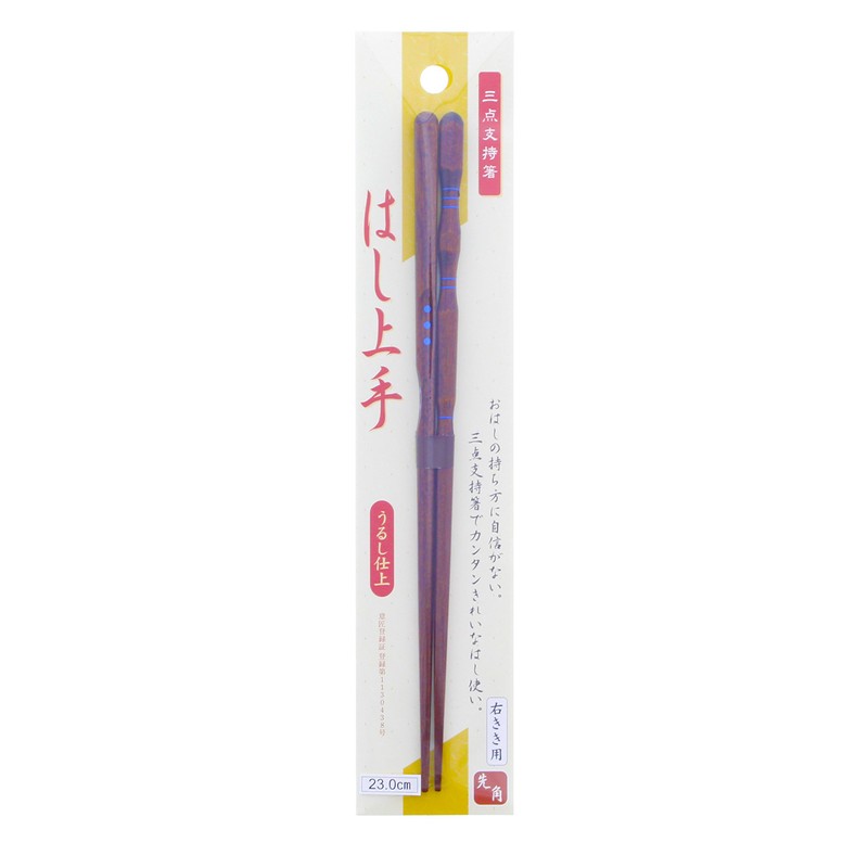 Ishida Discipline Chopsticks (How to Hold), 3 Point Support, Lacquer,