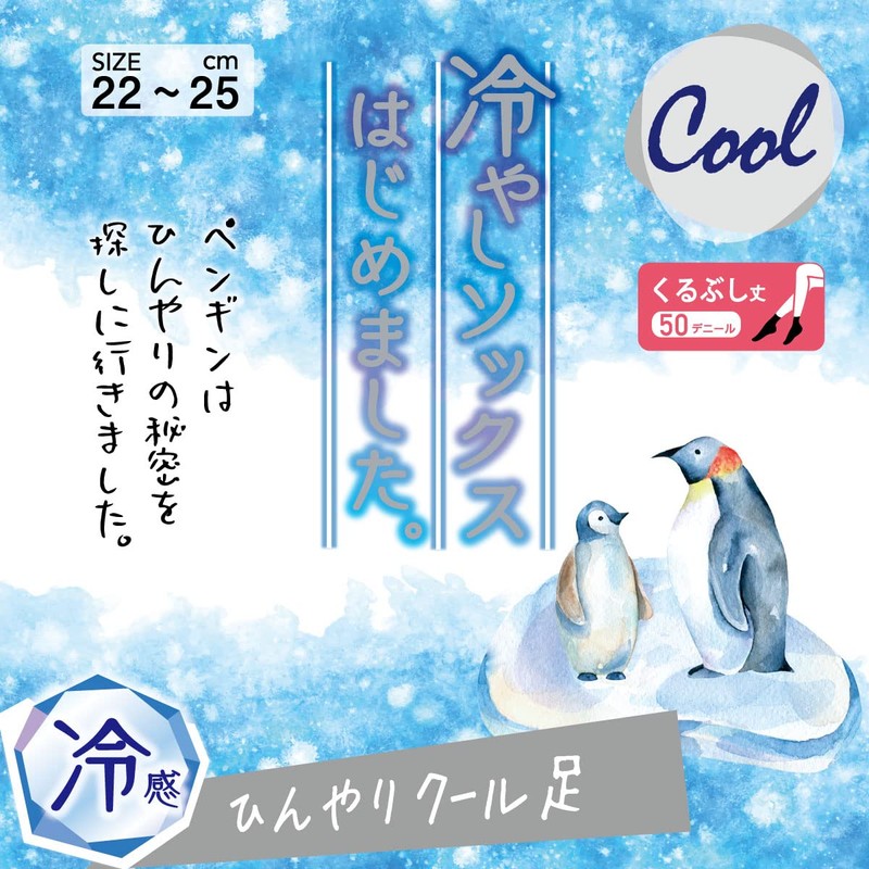 Atsugi FS5013 Women's Socks, Cheri-Beju, Sheri-Veiges