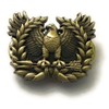 Warrant Officer Eagle Rising Lapel Pin FBA (1)