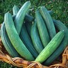 Armenian Dark Green Cucumber Seeds, 100 Heirloom Seeds Per Packet,