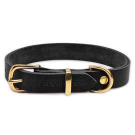 Scout Supply Classic Leather Dog Collar | Heavy Duty Thick Full Grain Leather | Waterproof & Rust-Proof Brass Hardware (Black, Medium)