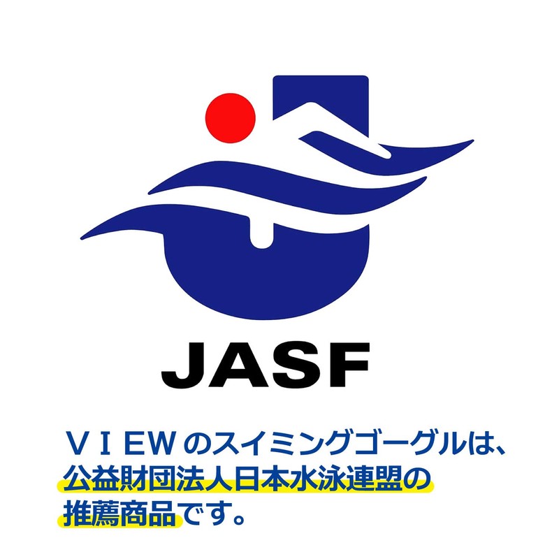 VIEW OPTICAL BK V500S BK