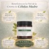 IEF Clinic V-Cell Mascarilla Profesional Professional Stem Cell Mask with