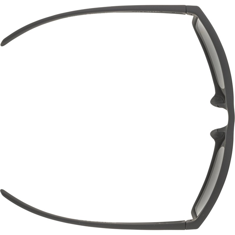 ALPINA Unisex Nacan I P Sunglasses, black matte, Unit size