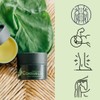 Comfrey Salve – Traditional Herbal Formula for Muscles & Joints,