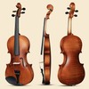 Aileen 4/4 Violin Set, Full Size Fiddle for Adults Beginners
