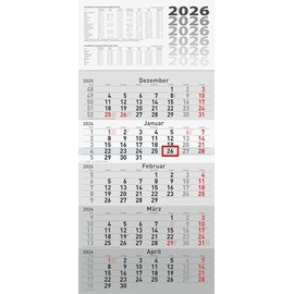 rido/idé 5-Month Calendar 2026, Grey, 300 x 630 mm