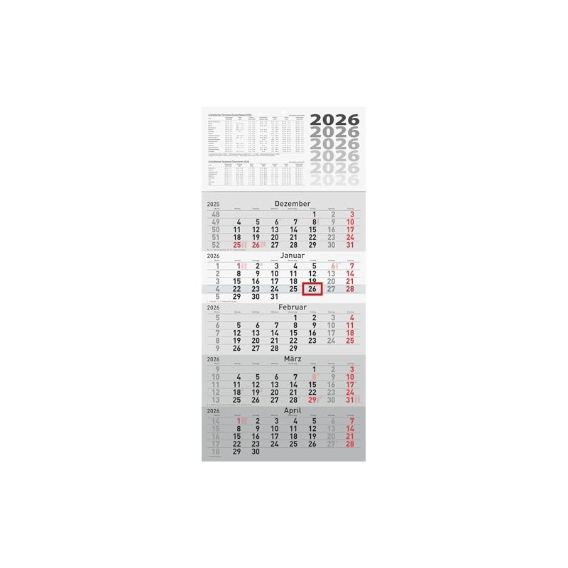 rido/idé 5-Month Calendar 2026, Grey, 300 x 630 mm