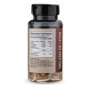 Melena De Leon Lions Mane Pharmadan 60 Caps