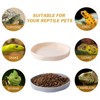 COMSUN 4 Pack Small Reptile Food Dish Bowl, Plastic Worm