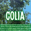 Golia - Gommose Morbide alla Liquirizia, (2)- 6.3 oz. Bags