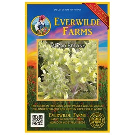 Everwilde Farms - 150 Wood Betony Native Wildflower Seeds - Gold Vault Jumbo Seed Packet