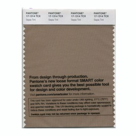 Pantone Cotton Swatch Card Color Standard, Color # 17-1314, Sepia Tint