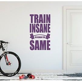 24"x13" Train Insane Or Remain The Same Workout Success Goal Positive Thinking Challenge Fitness Work Hard Exercise Wall Decal Sticker Art Mural Home Decor